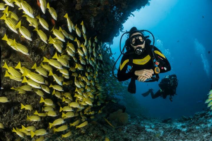 Phuket & Phi Phi Island Escape — photo 4